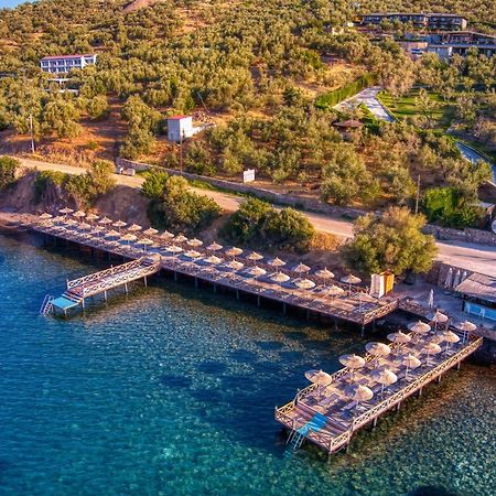 Assos Dionysos Special Class Hotel Adults Only 12 Years Εξωτερικό φωτογραφία