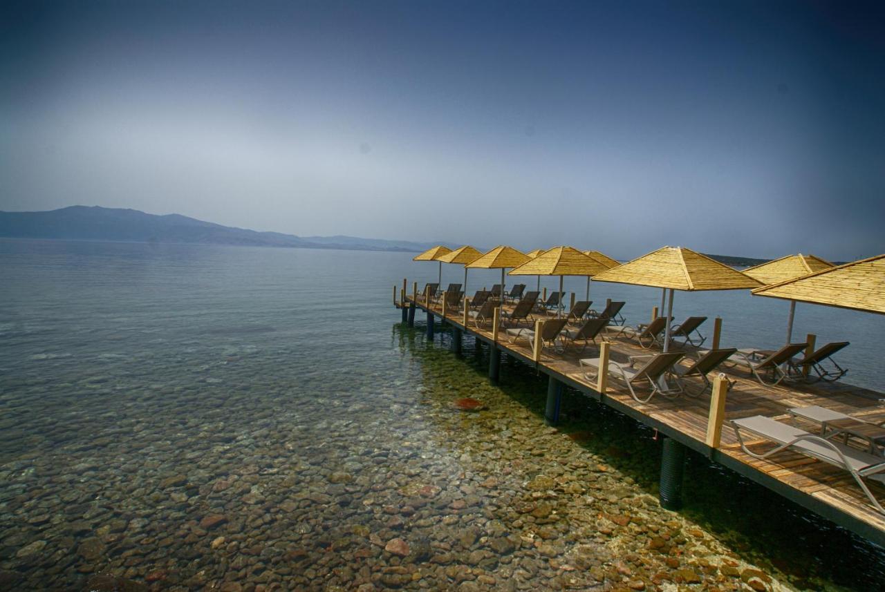 Assos Dionysos Special Class Hotel Adults Only 12 Years Εξωτερικό φωτογραφία