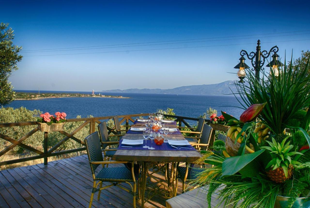 Assos Dionysos Special Class Hotel Adults Only 12 Years Εξωτερικό φωτογραφία