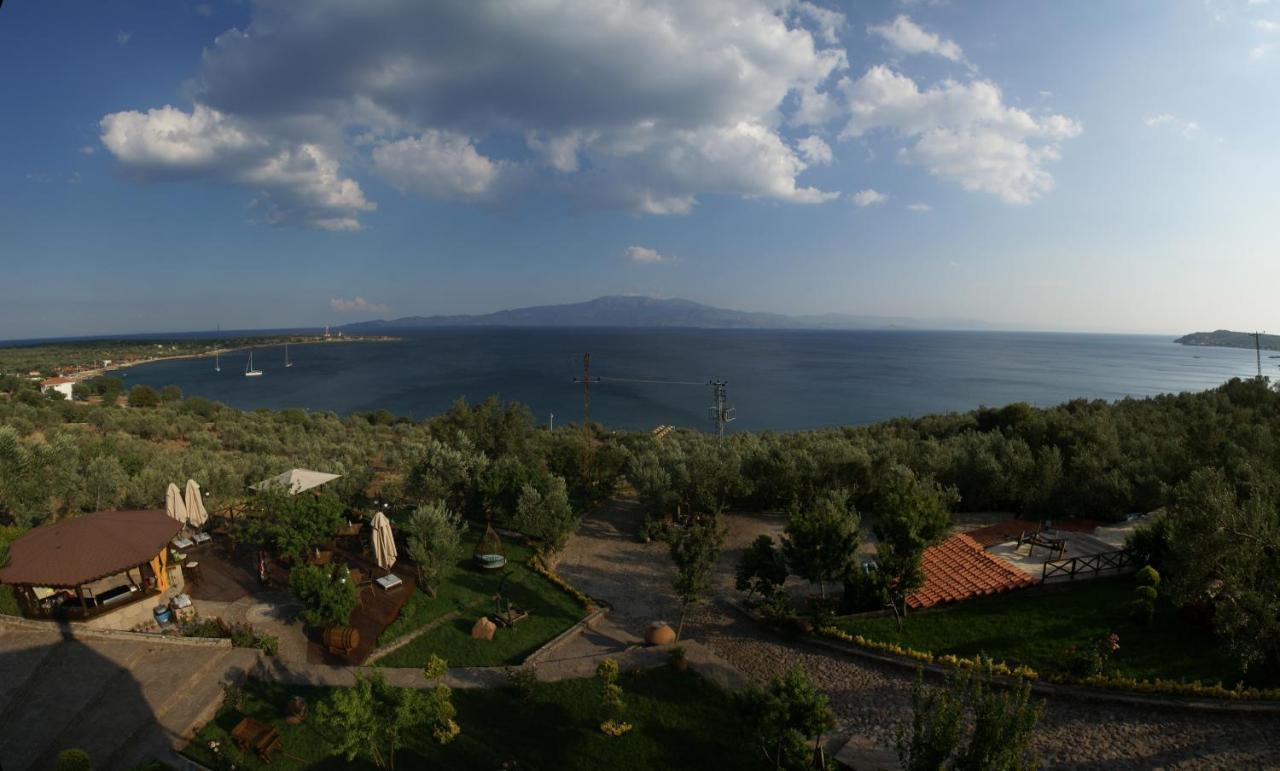 Assos Dionysos Special Class Hotel Adults Only 12 Years Εξωτερικό φωτογραφία