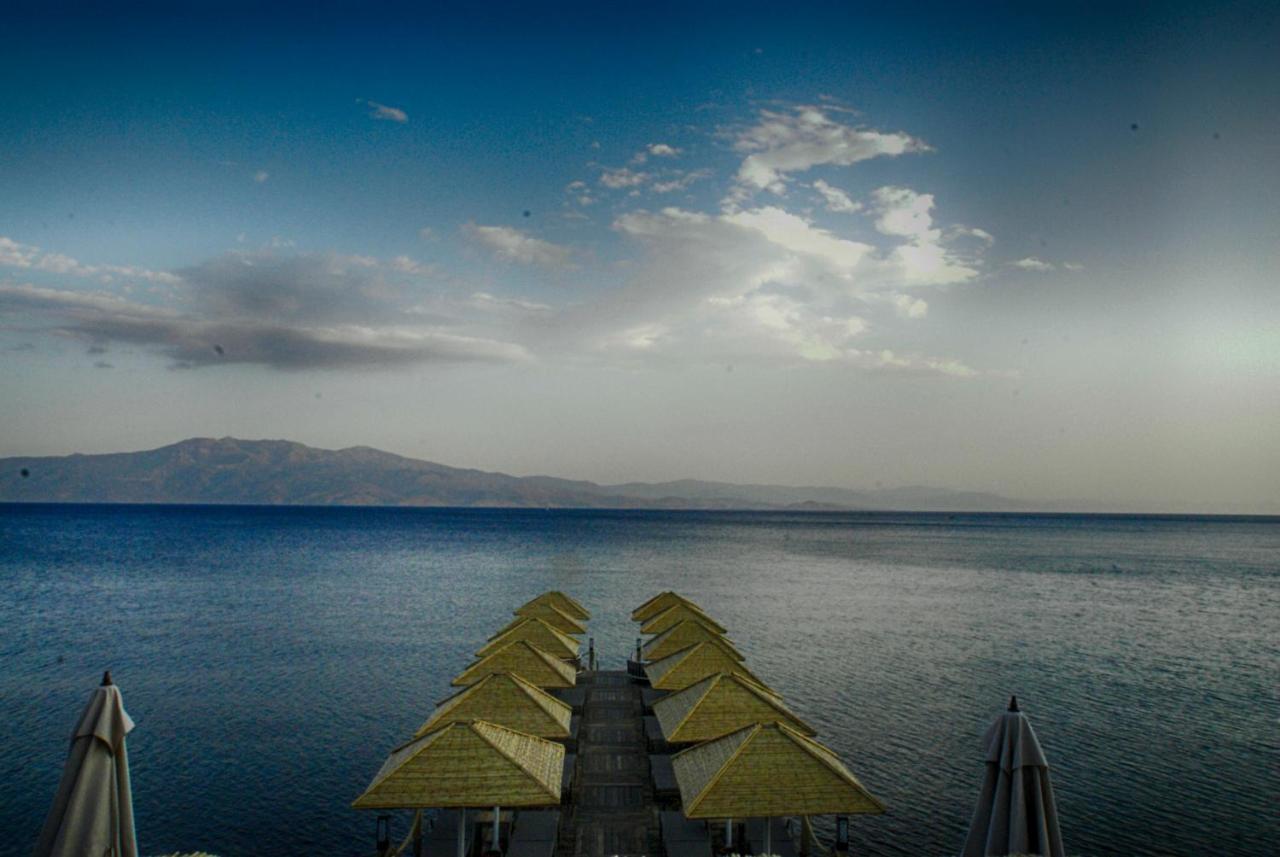 Assos Dionysos Special Class Hotel Adults Only 12 Years Εξωτερικό φωτογραφία
