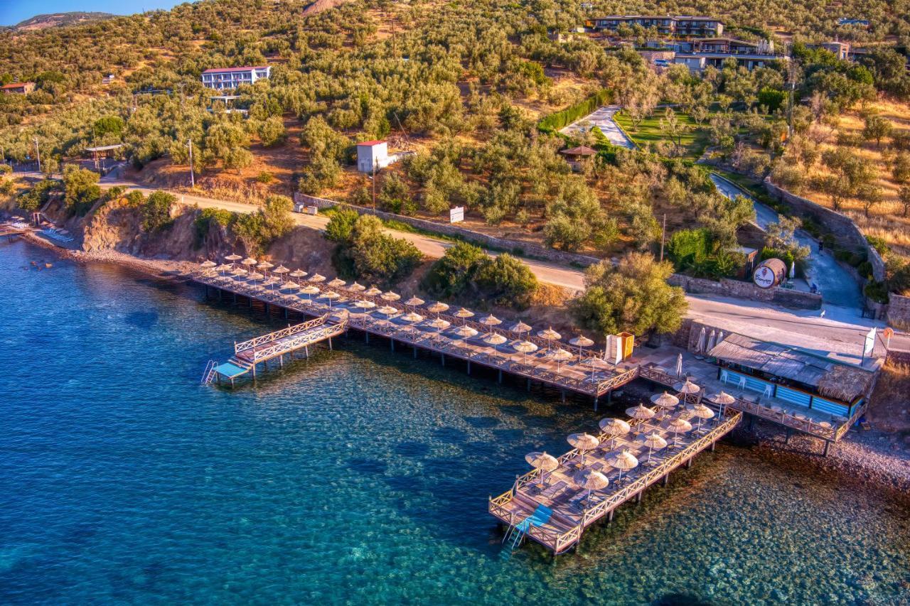 Assos Dionysos Special Class Hotel Adults Only 12 Years Εξωτερικό φωτογραφία