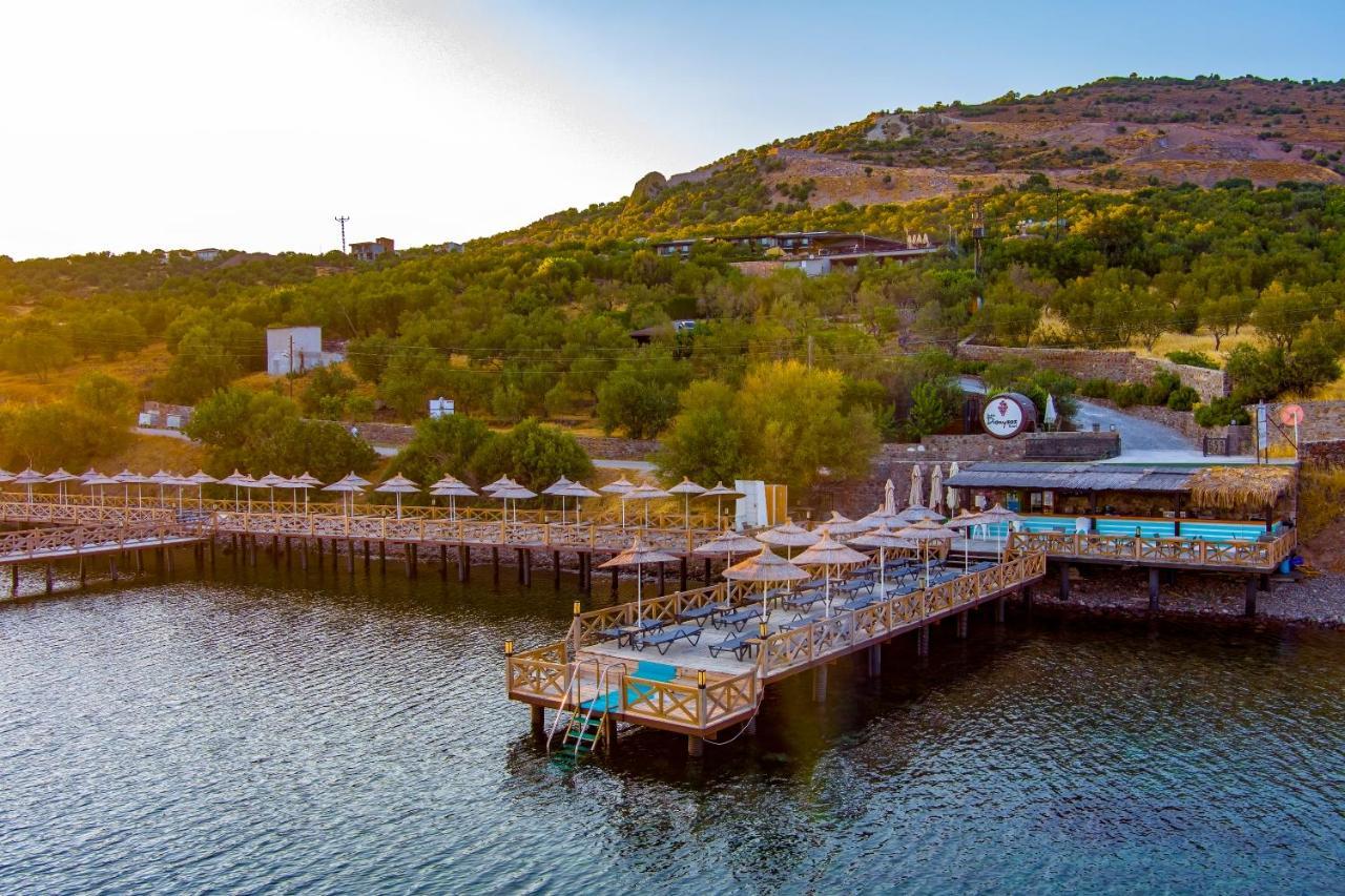 Assos Dionysos Special Class Hotel Adults Only 12 Years Εξωτερικό φωτογραφία