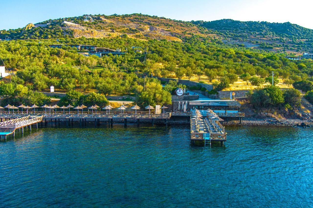 Assos Dionysos Special Class Hotel Adults Only 12 Years Εξωτερικό φωτογραφία