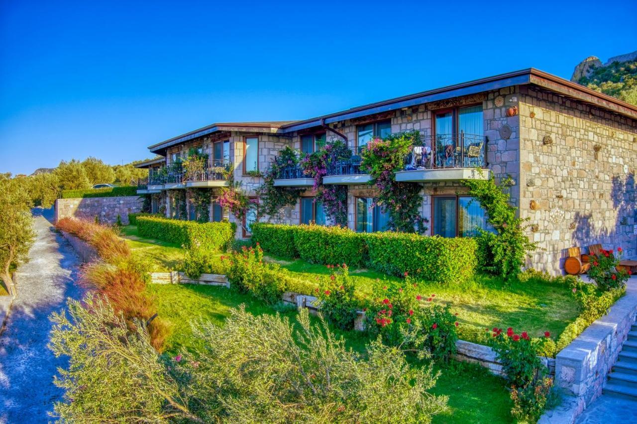 Assos Dionysos Special Class Hotel Adults Only 12 Years Εξωτερικό φωτογραφία