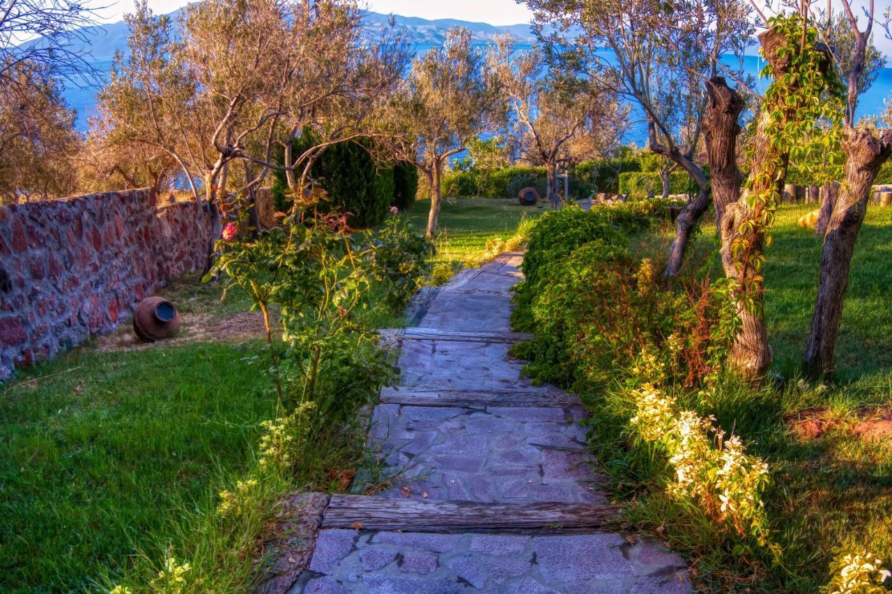 Assos Dionysos Special Class Hotel Adults Only 12 Years Εξωτερικό φωτογραφία