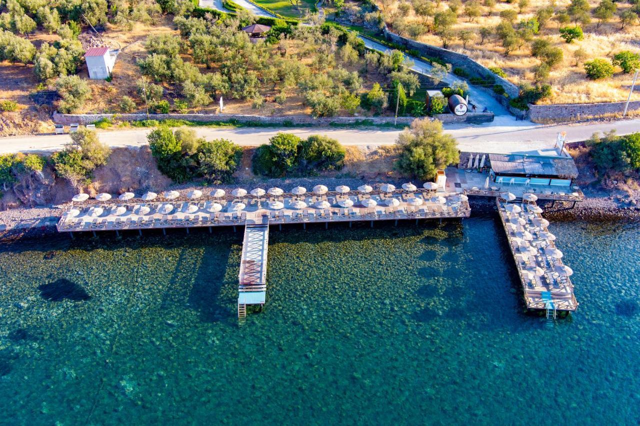 Assos Dionysos Special Class Hotel Adults Only 12 Years Εξωτερικό φωτογραφία